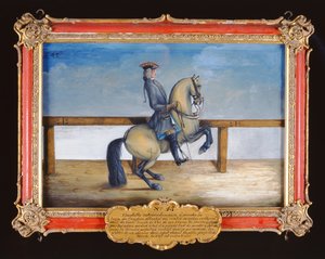 No. 45 Un cavallo della Scuola di Equitazione Spagnola eseguendo un movimento di dressage chiamato Courbette da Baron Reis Eisenberg