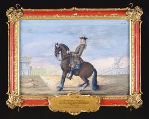 No. 54 Un cavallo baio castano danese della Scuola di Equitazione Spagnola eseguendo un movimento di dressage da Baron Reis Eisenberg