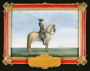 No. 9 Un cavallo grigio della Scuola di Equitazione Spagnola, dallo stud del conte di Kaunitz in Boemia da Baron Reis Eisenberg