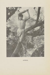 Attesa