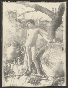 [Giovane nudo in giardino] da Baron Wilhelm von Gloeden