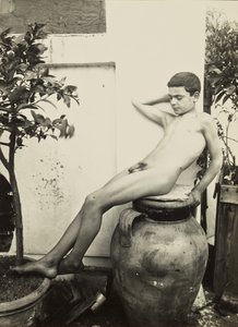 [Giovane nudo in giardino] da Baron Wilhelm von Gloeden