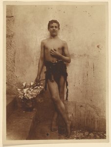 [Gioventù con i lillà]