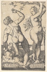 Apollo e Dafne copia inversa da Barthel Beham