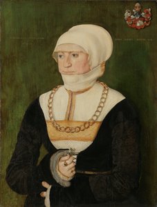 Ritratto di Magdalena Pittrichin, 1528 da Barthel Beham