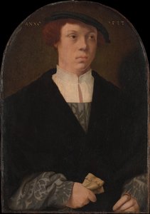 Ritratto di un uomo, 1533