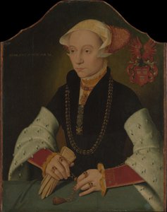 Ritratto di una donna della famiglia Slosgin di Colonia, 1557 da Bartholomaeus Bruyn the Younger