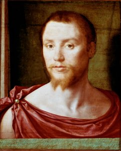 Ritratto di uomo con volto rosso antico e barba a doppia punta da Bartholomeus (active 1518 1541) Pons