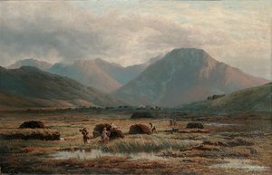 Torbiere, Letterfrack, Connemara da Bartholomew Colles Watkins