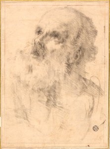 Testa di un vecchio da Bartolomé Esteban Murillo