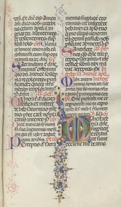 Missale: Fol. 260: Foliage con frutta da Bartolomeo Caporali