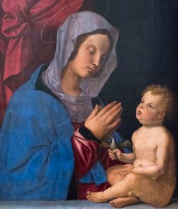 Madonna col Bambino, c.1503 da Bartolomeo Montagna