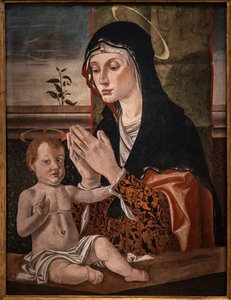 Madonna con Gesù bambino da Bartolomeo Montagna