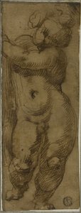 Putto in piedi visto di fronte: studio per la Vergine in gloria con i santi Petronio, Domenico e Pietro Martire