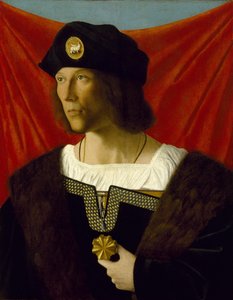 Ritratto di un gentiluomo da Bartolomeo Veneto