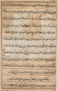 Pagina da Tales of a Parrot Tuti-nama: pagina di testo da Basavana