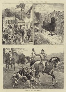 Caccia al cervo nel Surrey da Basil Bradley