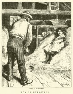Tom è atteso da Basil Bradley