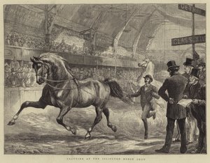 Trottando allo spettacolo di cavalli di Islington da Basil Bradley