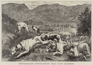 Sport in Westmoreland, gara di cani da caccia, Grasmere da Basil Bradley