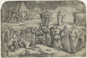 Raccolta della manna