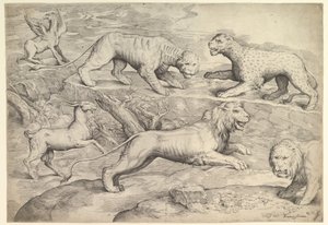 Sei animali, tra cui leoni, una tigre, un leopardo, un grifone e una capra, ca. 1530-61 da Battista Franco Veneziano