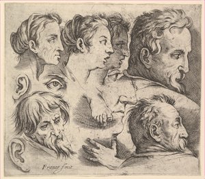 Studi di teste