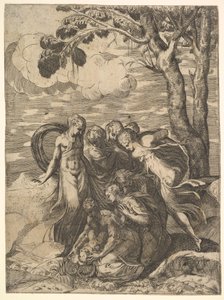 Mosè salvato dal Nilo, XVI secolo da Battista del Moro