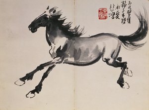 Cavallo al galoppo