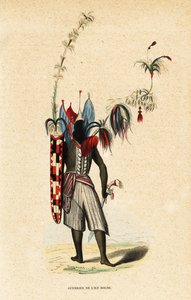 Guerriero dell