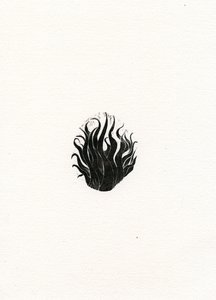 Fuoco