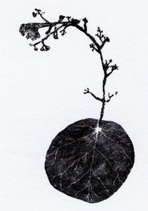 Foglia di lichene, 2014 da Bella Larsson