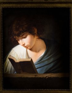 Giovane che legge Omero da Benigne Gagnereaux
