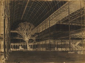 Crystal Palace, Hyde Park, Transept, 1852