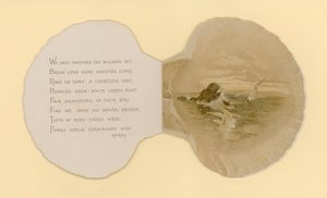 Illustrazione per opuscolo intitolato Conchiglie di mare