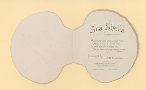 Illustrazione per opuscolo intitolato Conchiglie marine
