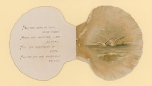 Illustrazione per opuscolo intitolato Conchiglie di mare