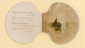 Illustrazione per opuscolo intitolato Conchiglie da Benjamin D. Sigmund
