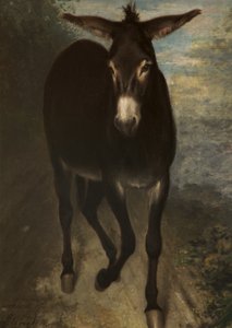 Un asino siciliano