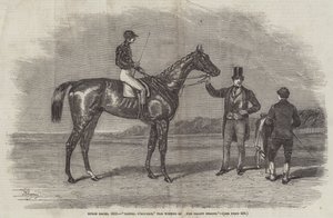 Corse di Epsom, 1852, Daniel O