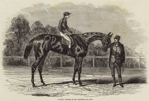 Nancy, vincitrice della Goodwood Cup, 1851
