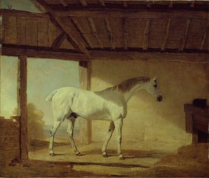 Il cavallo del conte di Coventry da Benjamin Marshall