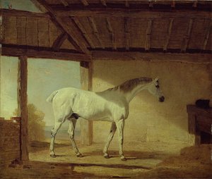 Il cavallo del conte di Coventry da Benjamin Marshall