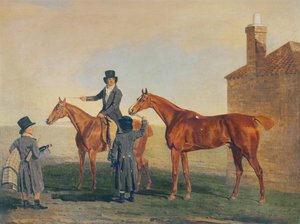 Zigolo giallo, c.1800