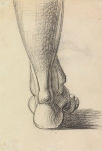 Studio anatomico del tallone di un piede