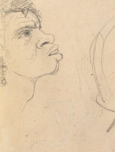 Studio del volto di una donna etnica, di profilo, con orecchini