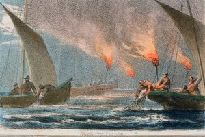 Pesca di acciughe