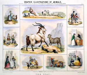 La capra, c1850