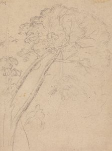 Studio di costume per il ritratto di una signora da Benjamin West
