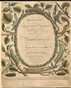 Frontespizio, da Una rara rappresentazione di farfalle e falene, pub. 1764